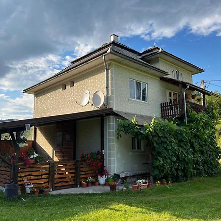 Vidra Casa Danut别墅 外观 照片