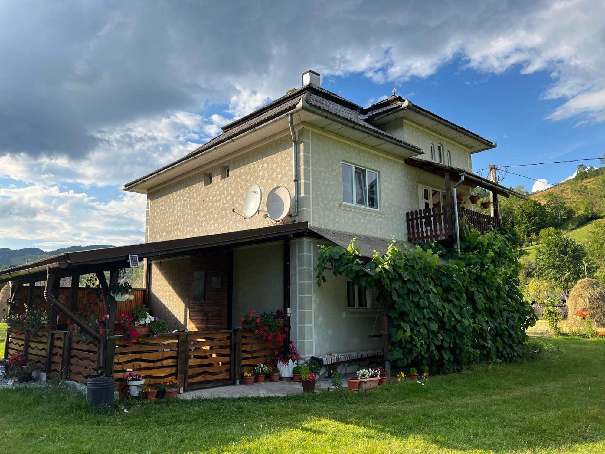 Vidra Casa Danut别墅 外观 照片