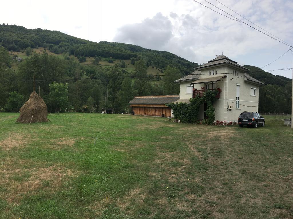 Vidra Casa Danut别墅 外观 照片
